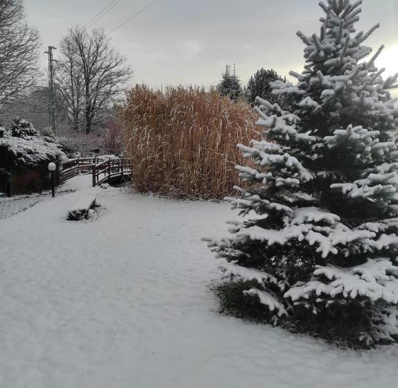 膳宿费 Penzion Kosky