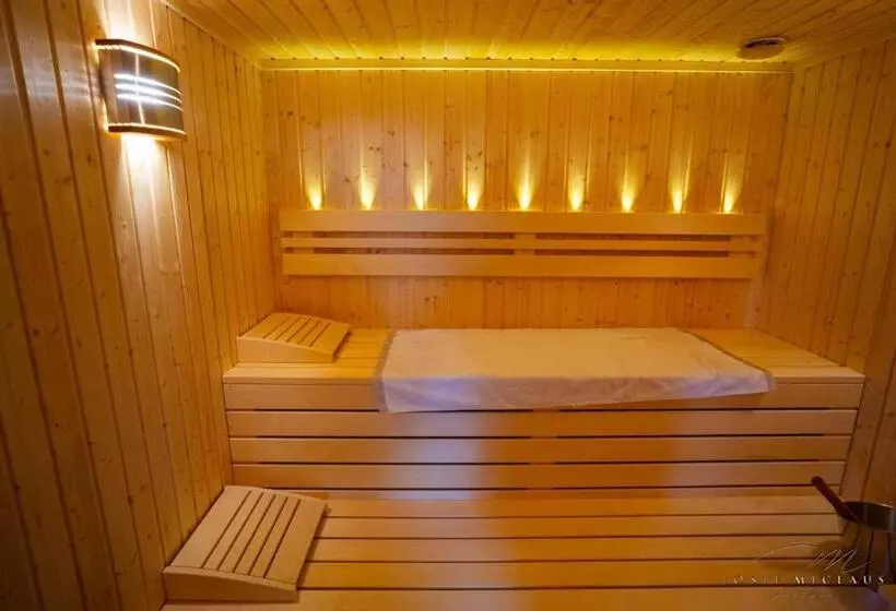 ペンション Villa Castelul Maria