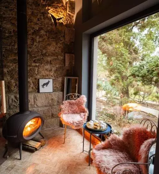 ペンション Villa Castelul Maria