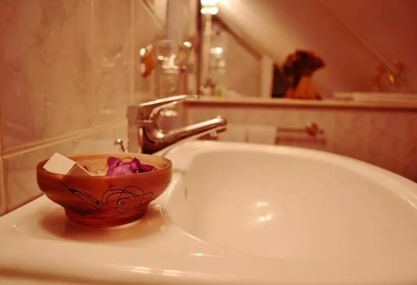 ペンション Villa Castelul Maria