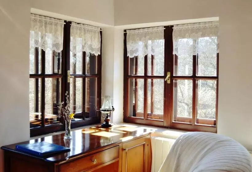 ペンション Villa Castelul Maria