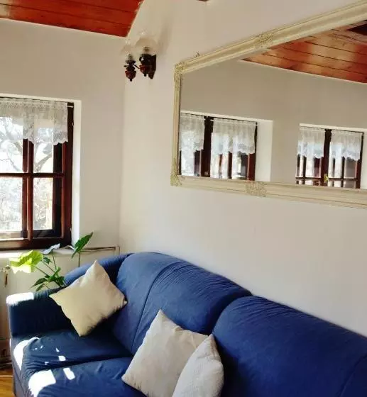 ペンション Villa Castelul Maria