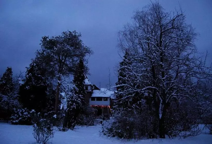 ペンション Villa Castelul Maria