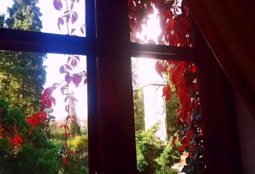 ペンション Villa Castelul Maria