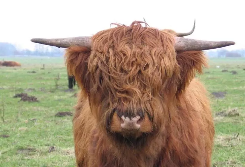 B&b   Sauna D Olle Pastorie