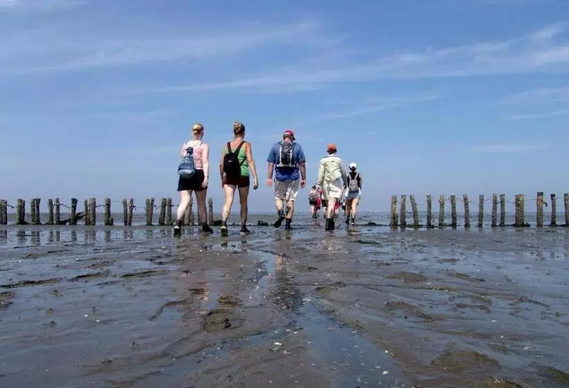 B&b   Sauna D Olle Pastorie