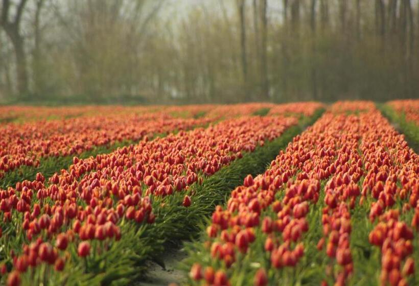 B&b Sauna D Olle Pastorie