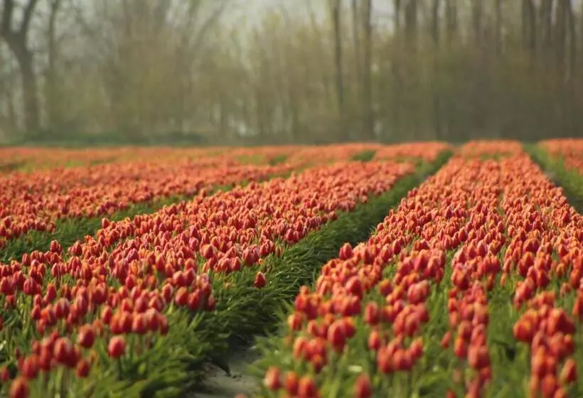 B&b   Sauna D Olle Pastorie