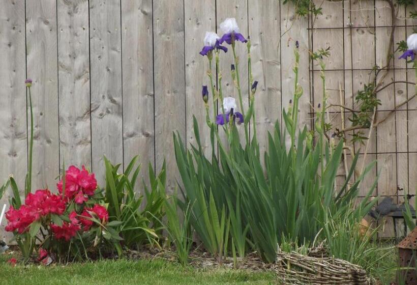 צימר Il était Une Fois Brocéliande