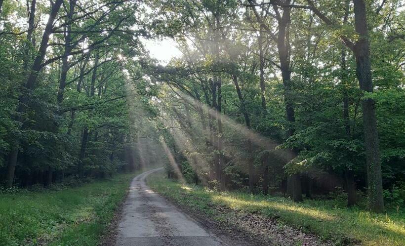 住宿加早餐 Vadászház Karád