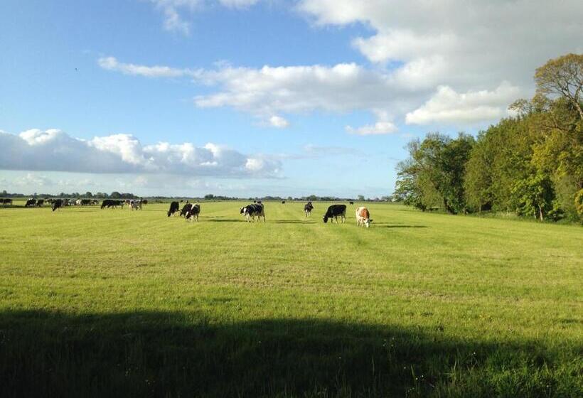 住宿加早餐 Vrijstaand Koetshuis Marron