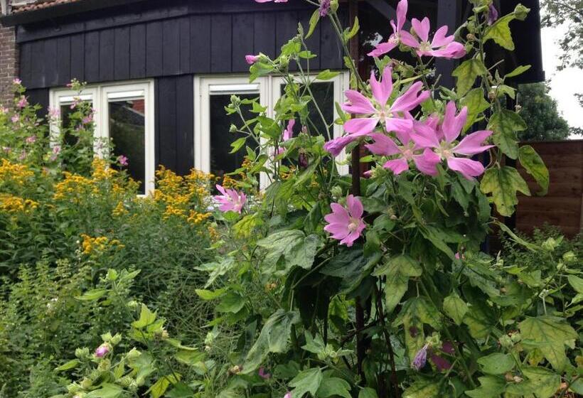 住宿加早餐 Vrijstaand Koetshuis Marron