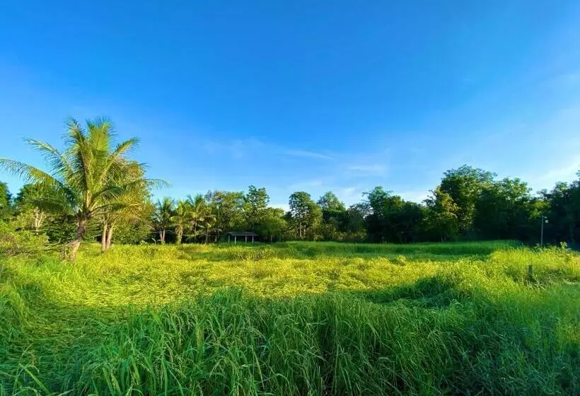 ホテル Jamsai Resort