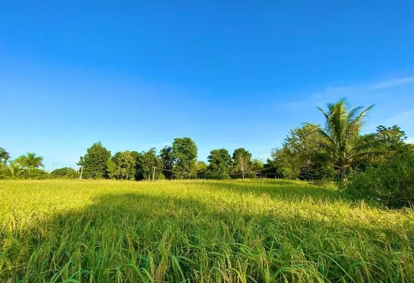 ホテル Jamsai Resort