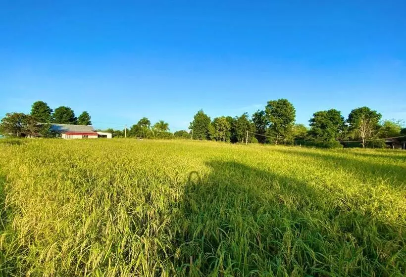 ホテル Jamsai Resort