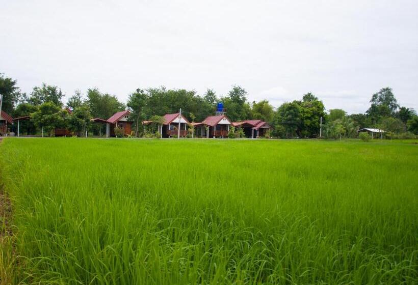 בית מלון כפרי Jamsai Resort