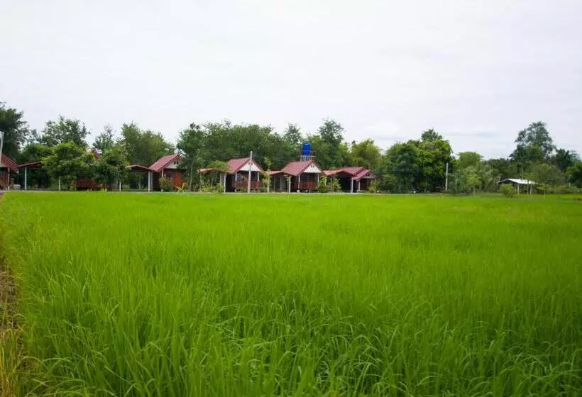 ホテル Jamsai Resort