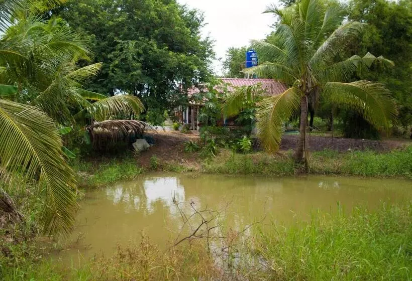 ホテル Jamsai Resort