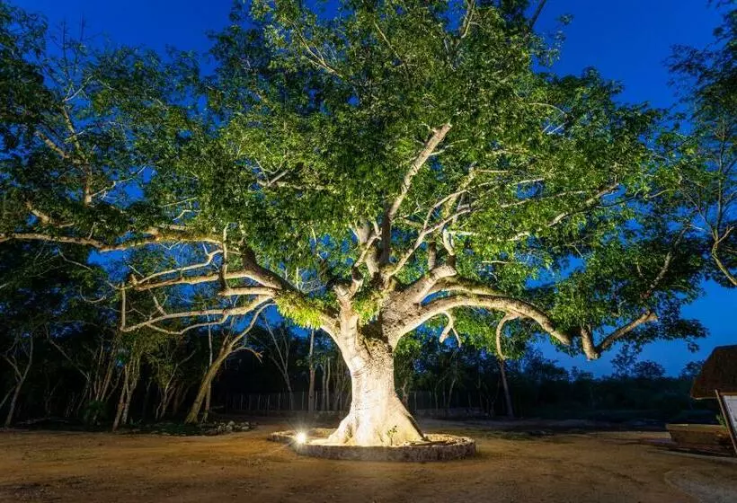 Hotelli Xuux Peek By Tecno