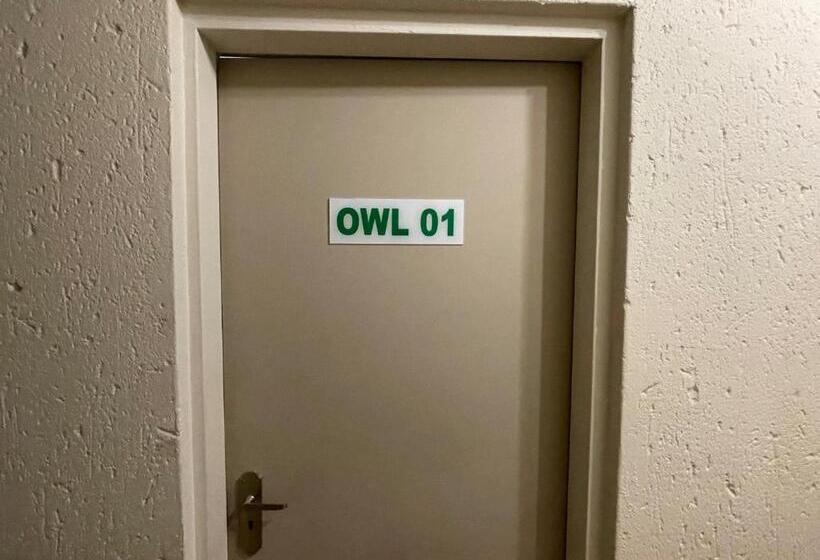 Nite Owl B&b