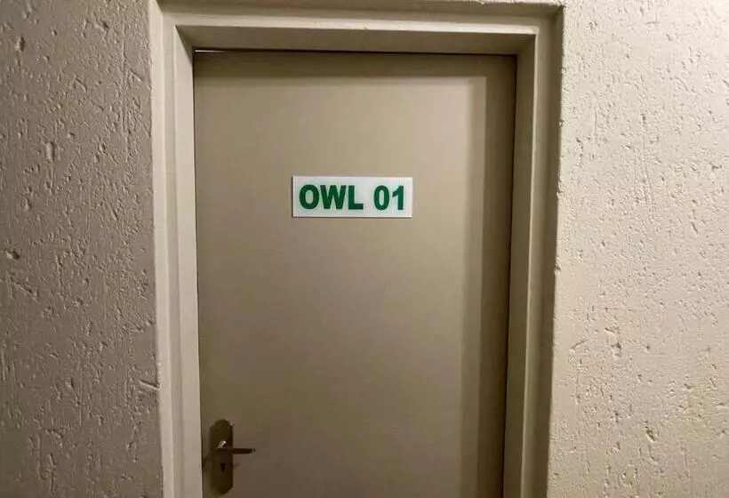 Nite Owl B&b