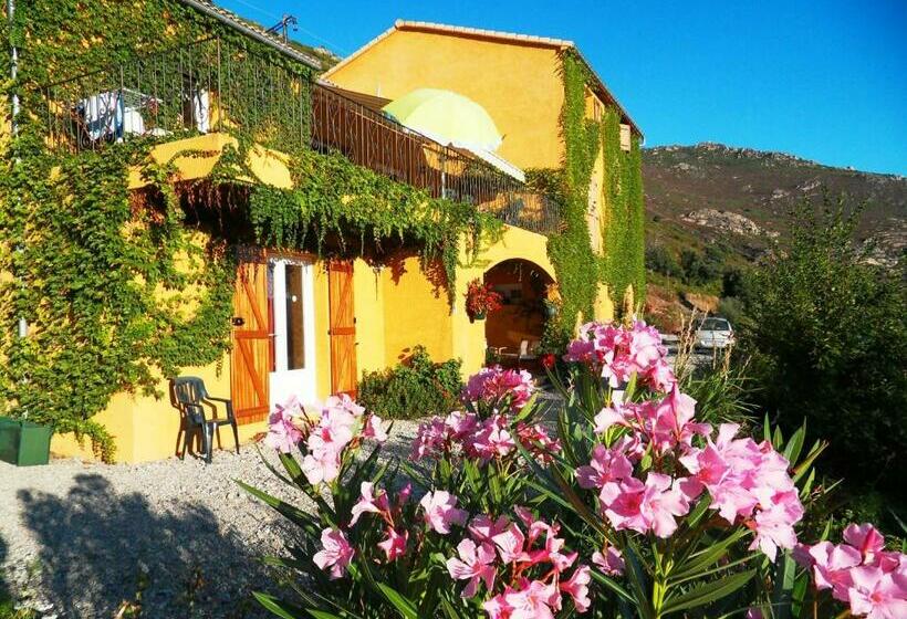 بنسيون A Pianella