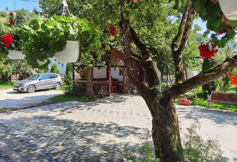 Pensió Casa Girbacea