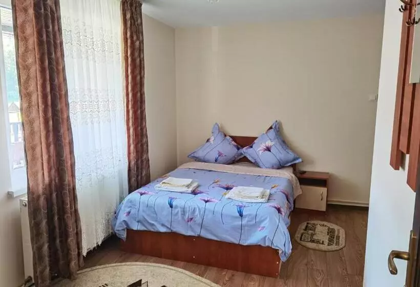Pensió Casa Girbacea