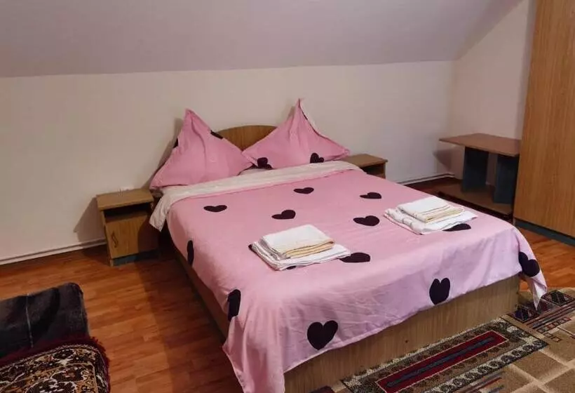 Pensió Casa Girbacea