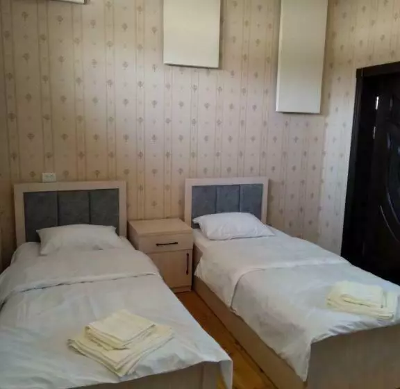 ペンション Turkistan