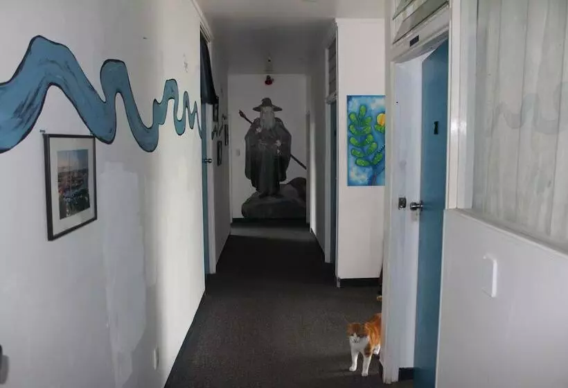 42b College House   Hostel