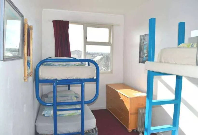 42b College House   Hostel