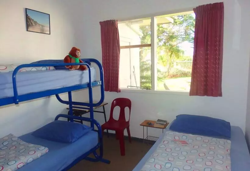 42b College House   Hostel