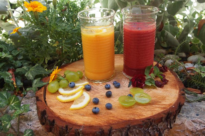 Heritage Hotel Life Palace