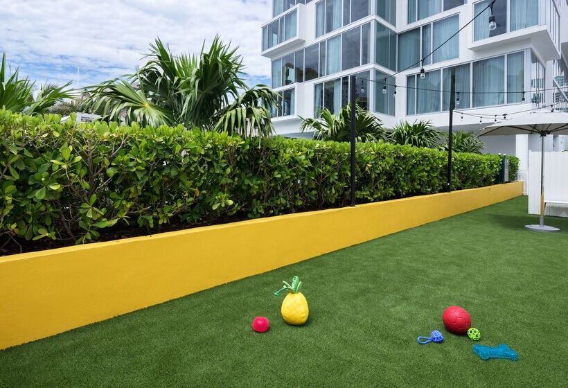 Otel Hyatt Centric South Beach Miami