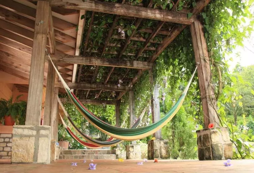 هتل La Villa de Soledad