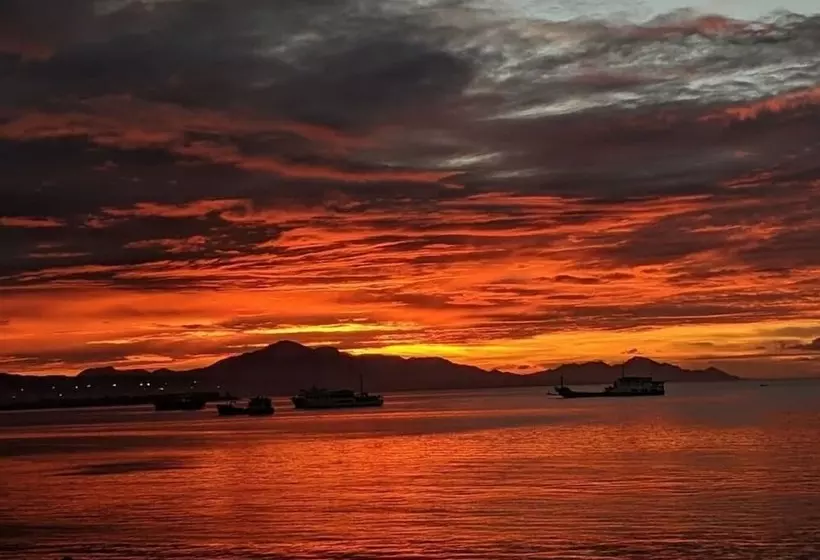 ホテル Pacific Crown