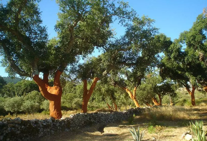 Hotel wiejski Herdade da Fonte