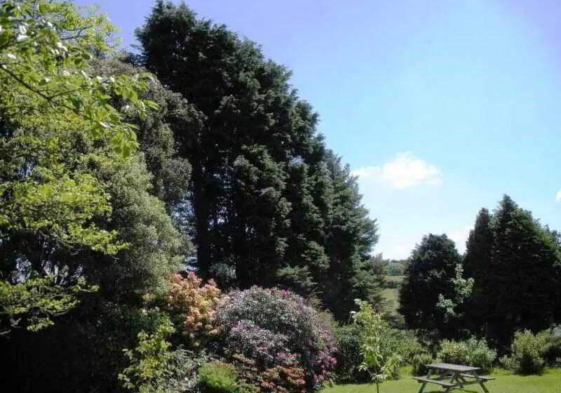 Hotel Trimstone Manor Country House