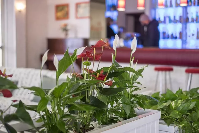 בית מלון כפרי Venus