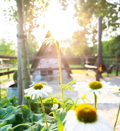 住宿加早餐  Bed En Breakfast Puur8a