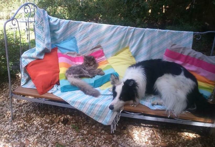 צימר Chambres D Hôtes Lou Félibre