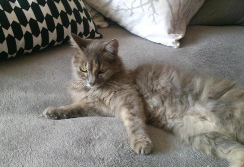 צימר Chambres D Hôtes Lou Félibre