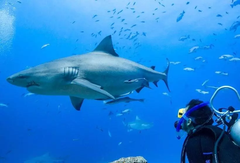 Hotelli Barefoot Kuata Island Resort