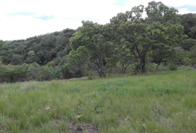 Пансион Rocks And Aloes Guest Lodge