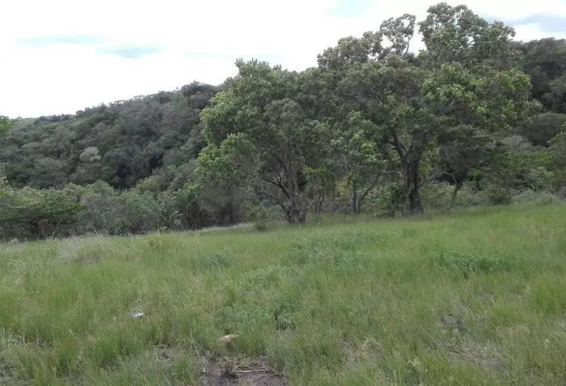 Majatalo Rocks And Aloes Guest Lodge