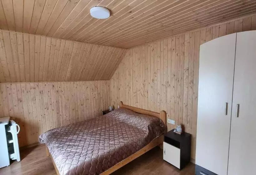 ユースホステル Villa Paraiso Karpaty