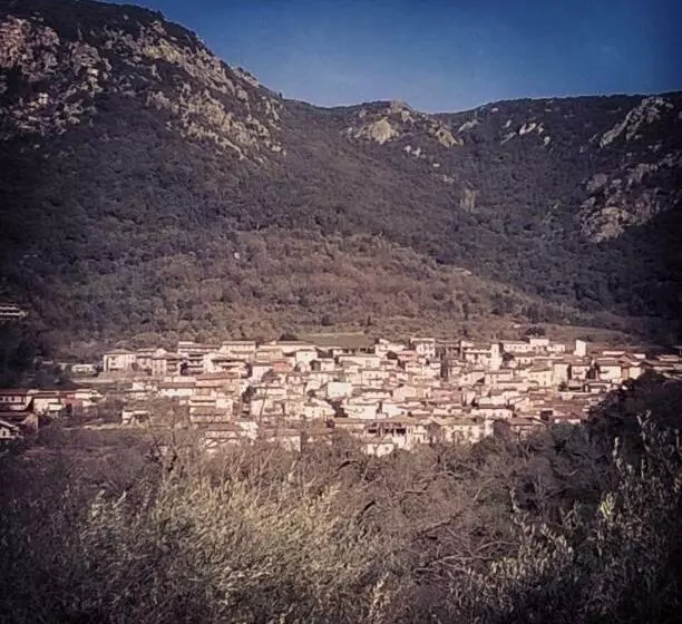 B&b Meddie