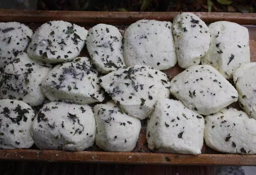 ベッドアンドブレックファースト Aperanti Agrotourism