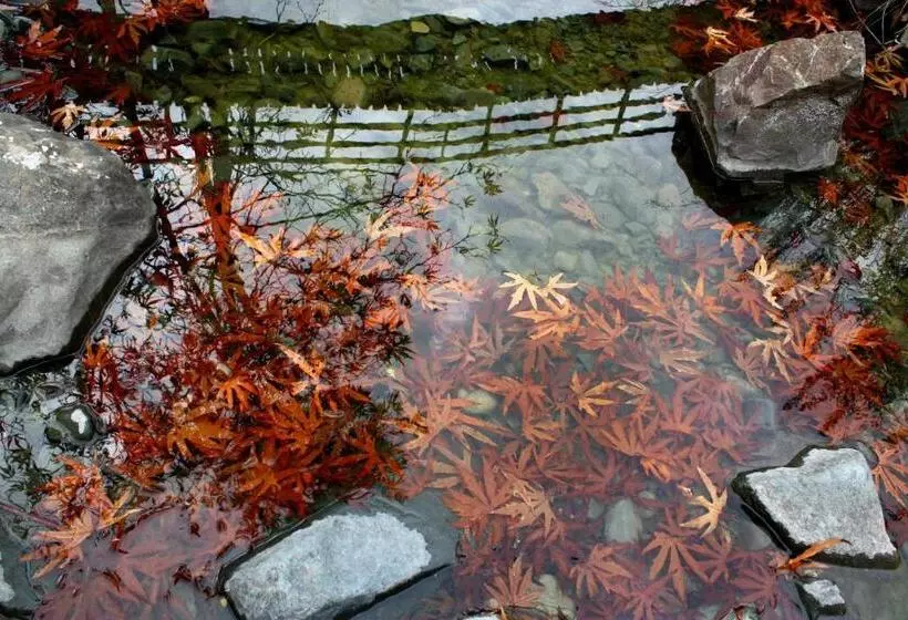 ベッドアンドブレックファースト Aperanti Agrotourism